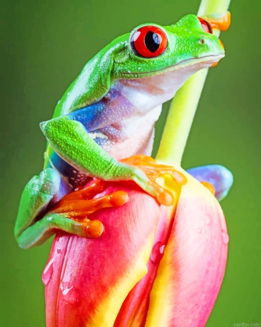 Frog On Tulip Flower New Paint By Numbers.png