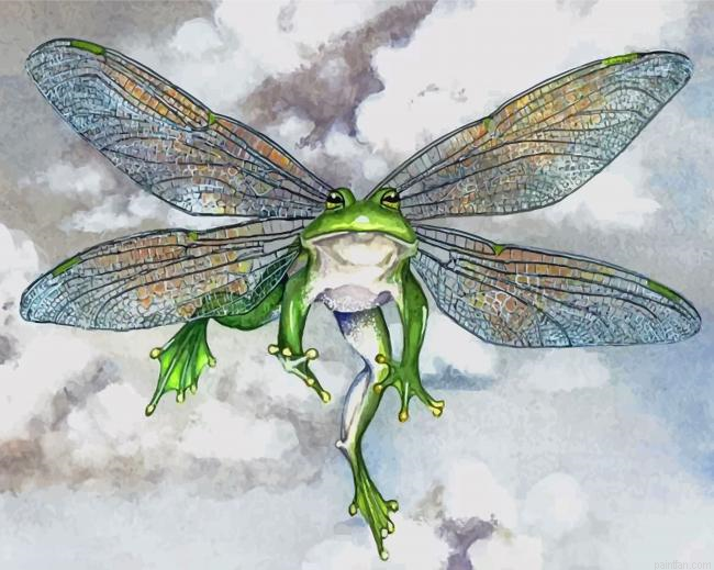 Frog With Wings Paint By Number.png