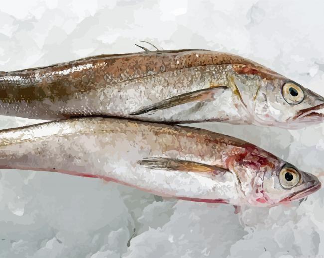 Frozen Hake Fishes Paint By Numbers.png
