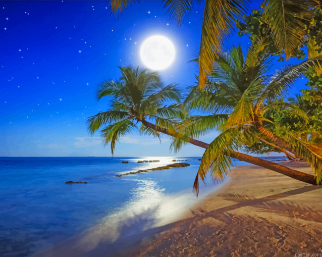 Full Moon Night Beach Paint By Numbers.png