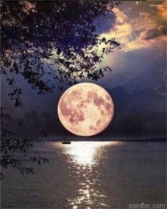 Full Moon Paint By Numbers.png