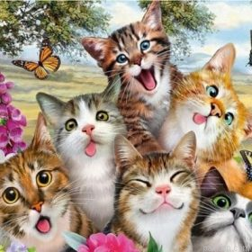 Funny Cats Paint By Numbers.png