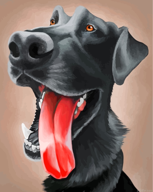 Funny Labrador Dog Paint By Number.png