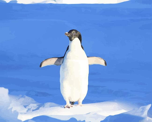 Funny Penguin New Paint By Numbers.png