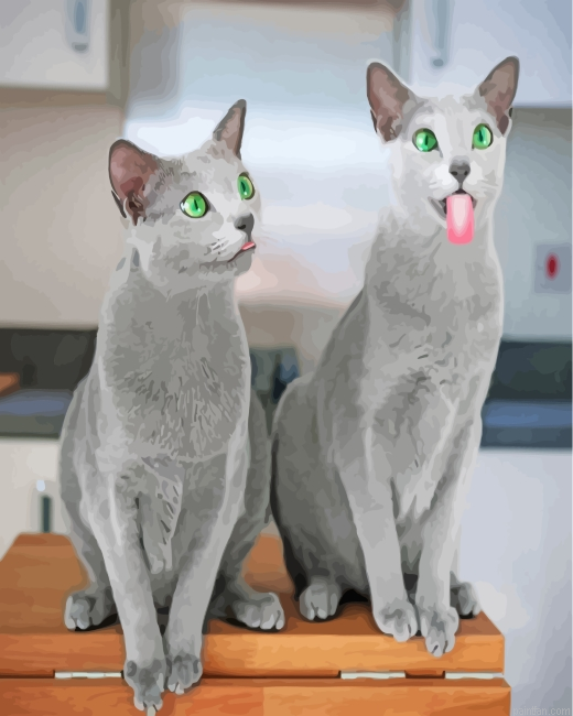 Funny Russian Blue Cats Paint By Number.png