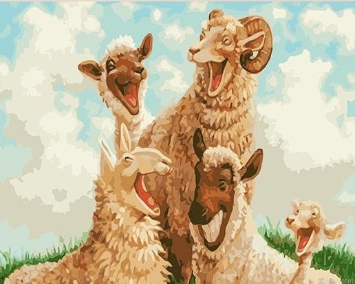 Funny Sheep Paint By Numbers.png