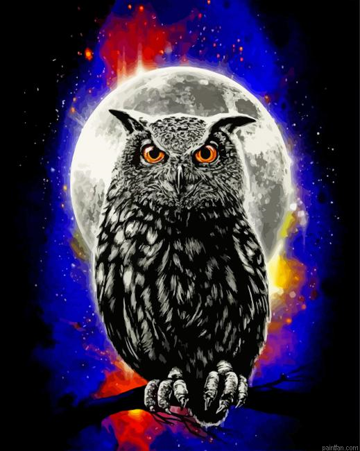Galaxy Owl Paint By Numbers.png