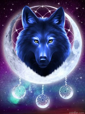 Galaxy Wolf Paint By Numbers.png