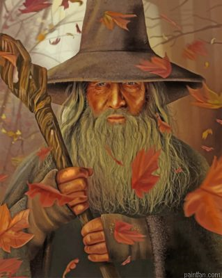 Gandalf Illustration Paint By Number.png