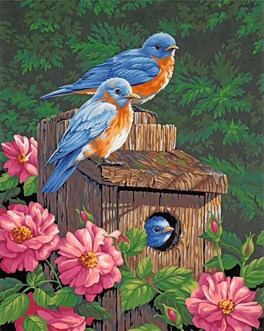 Garden Bluebirds Paint By Numbers.png