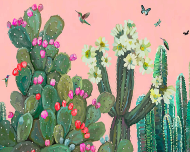 Garden Cactus And Roses Paint By Number.png