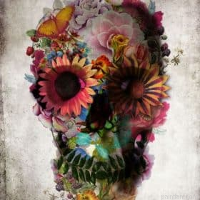 Garden Skull Flowers Paint By Numbers.png