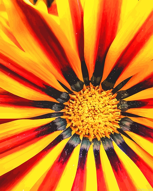 Gazania Big Kiss Yellow Details New Paint By Numbers.png