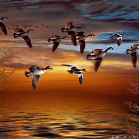 Geese Flying Paint By Numbers.png