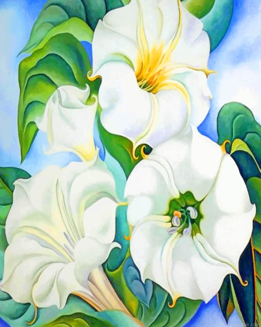 Georgia Okeeffe White Flowers Aesthetic Paint By Numbers.png