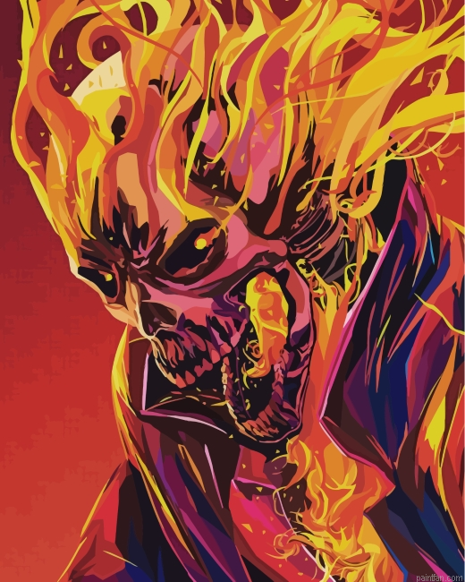 Ghost Rider Illustration Paint By Number.png