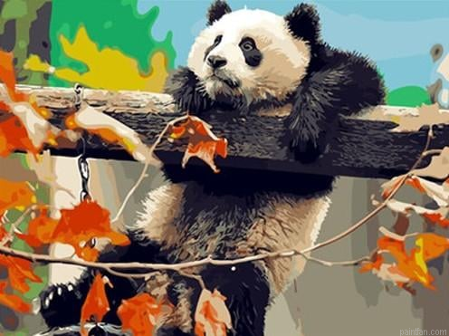 Giant Panda Paint By Numbers.png