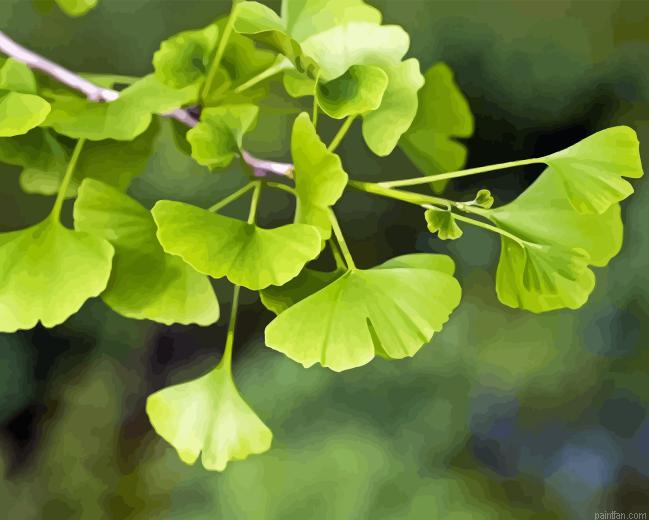 Ginkgo Tree Paint By Numbers.png