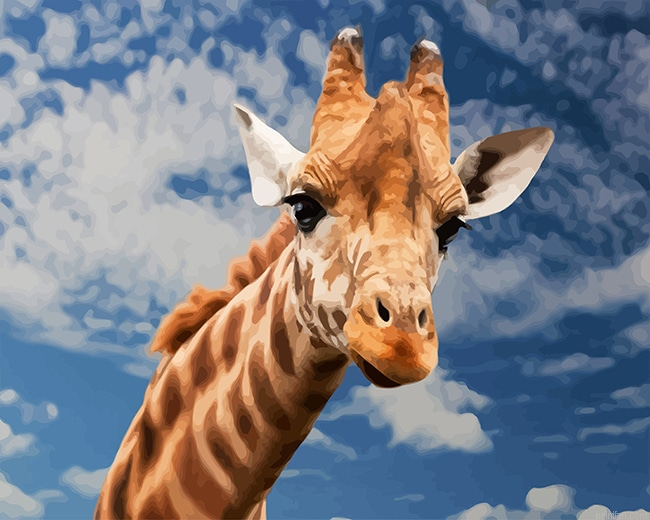 Giraffe New Paint By Numbers.png