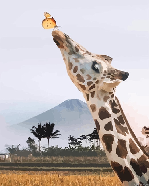 Giraffe And Butterfly New Paint By Numbers.png