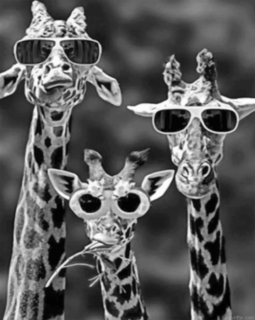 Giraffes With Sunglasses Paint By Numbers.png