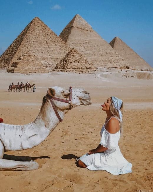 Girl And Camel In Egypt Paint By Numbers.png