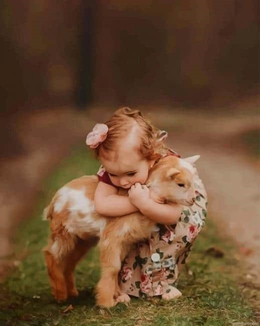 Girl Hugging A Little Goat New Paint By Numbers.png