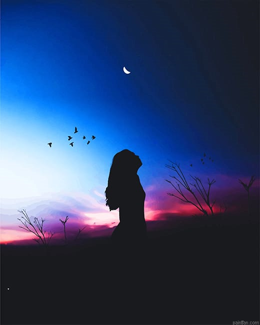 Girl Silhouette New Paint By Numbers.png