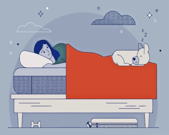 Girl Sleeping With Pet Paint By Numbers.png