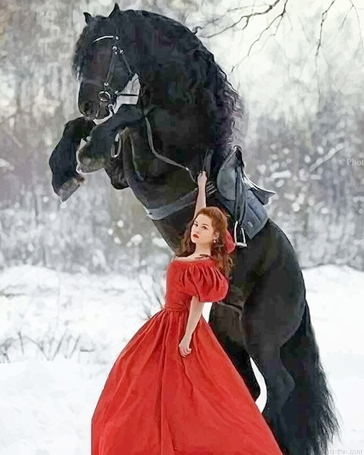 Girl With Black Horse New Paint By Numbers.png