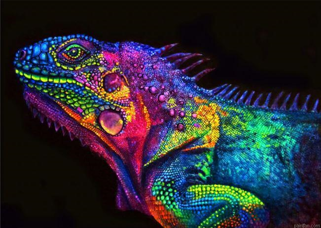 Glowing Chameleon Paint By Numbers.png