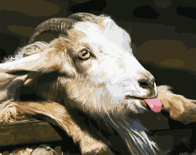 Goat Tongue Paint By Numbers.png