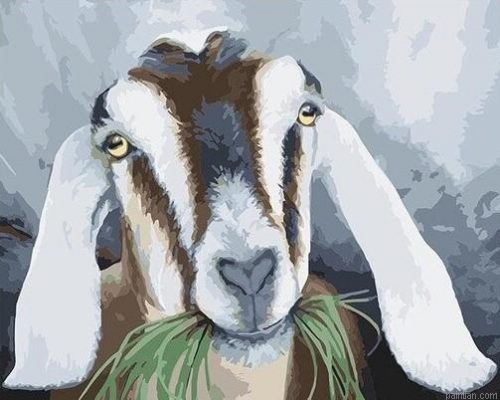 Goats With Grass Paint By Numbers.png