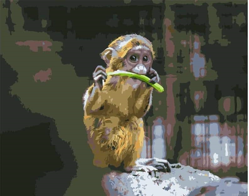 Golden Monkey Paint By Numbers.png