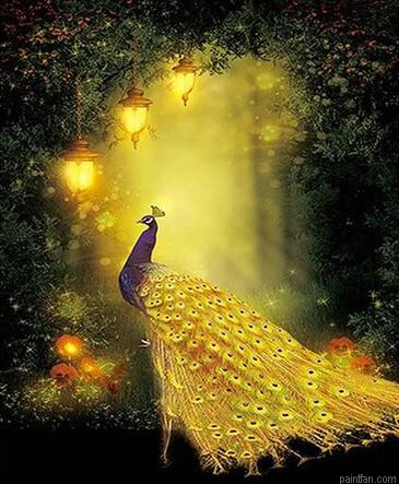 Golden Peacock Paint By Numbers.png