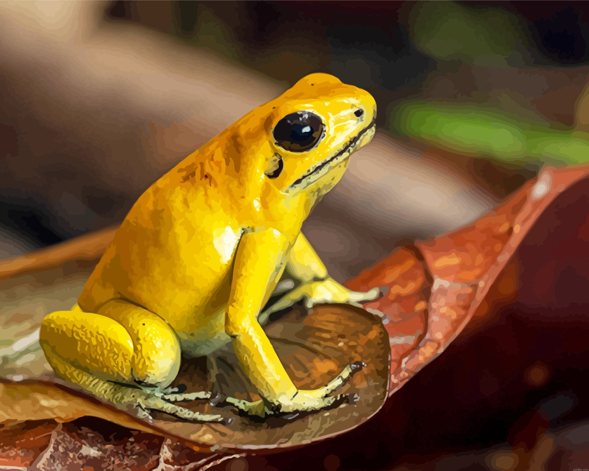 Golden Poison Dart Frog Paint By Numbers.png