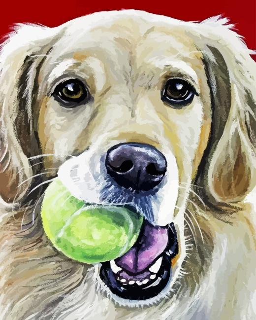 Golden Retriever With Ball Paint By Numbers.png