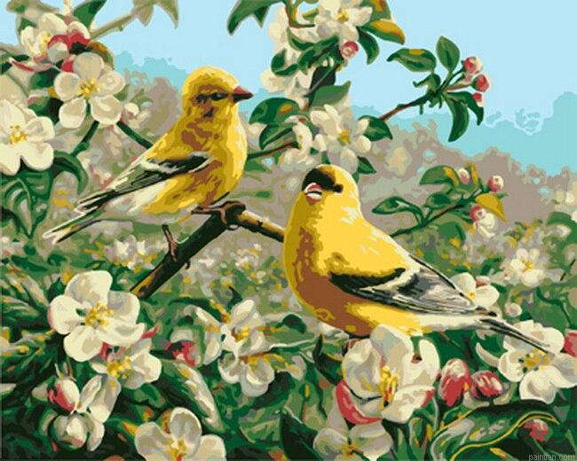 Goldfinch Bird Paint By Numbers.png