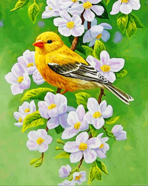 Goldfinch Blossoms Bird Paint By Number.png