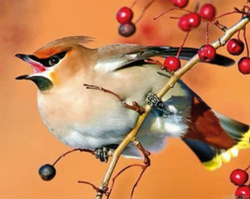 Goldfinch Little Bird Paint By Number.png