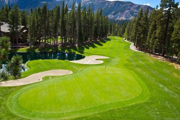 Golf Course Landscape Paint By Numbers.png