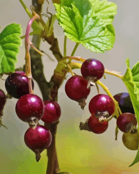 Gooseberry Paint By Numbers.png