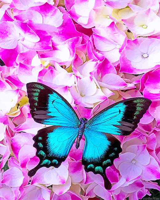 Gorgeous Blue Butterfly New Paint By Numbers.png