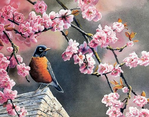 Gorgeous Flowers Paint By Numbers.png