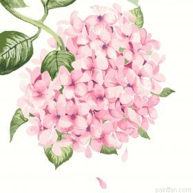 Gorgeous Pink Flowers Paint By Numbers.png