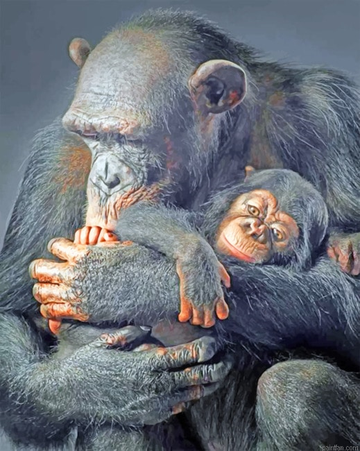 Gorillas Animals Paint By Numbers.png