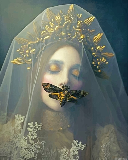 Gothic Butterfly Bride New Paint By Numbers.png