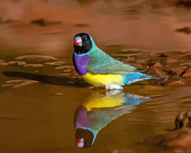 Gouldian Finch Paint By Numbers.png