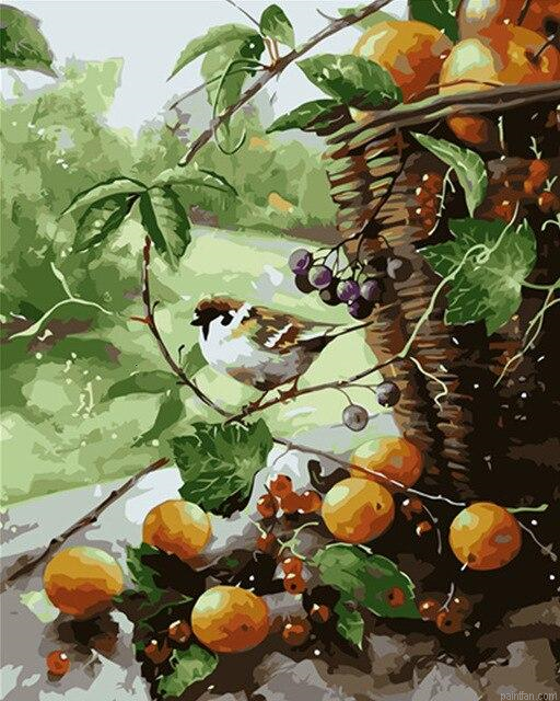 Grapefruit Bird Paint By Numbers.png