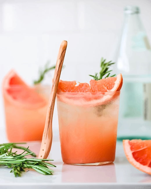 Grapefruit Cocktail New Paint By Numbers.png